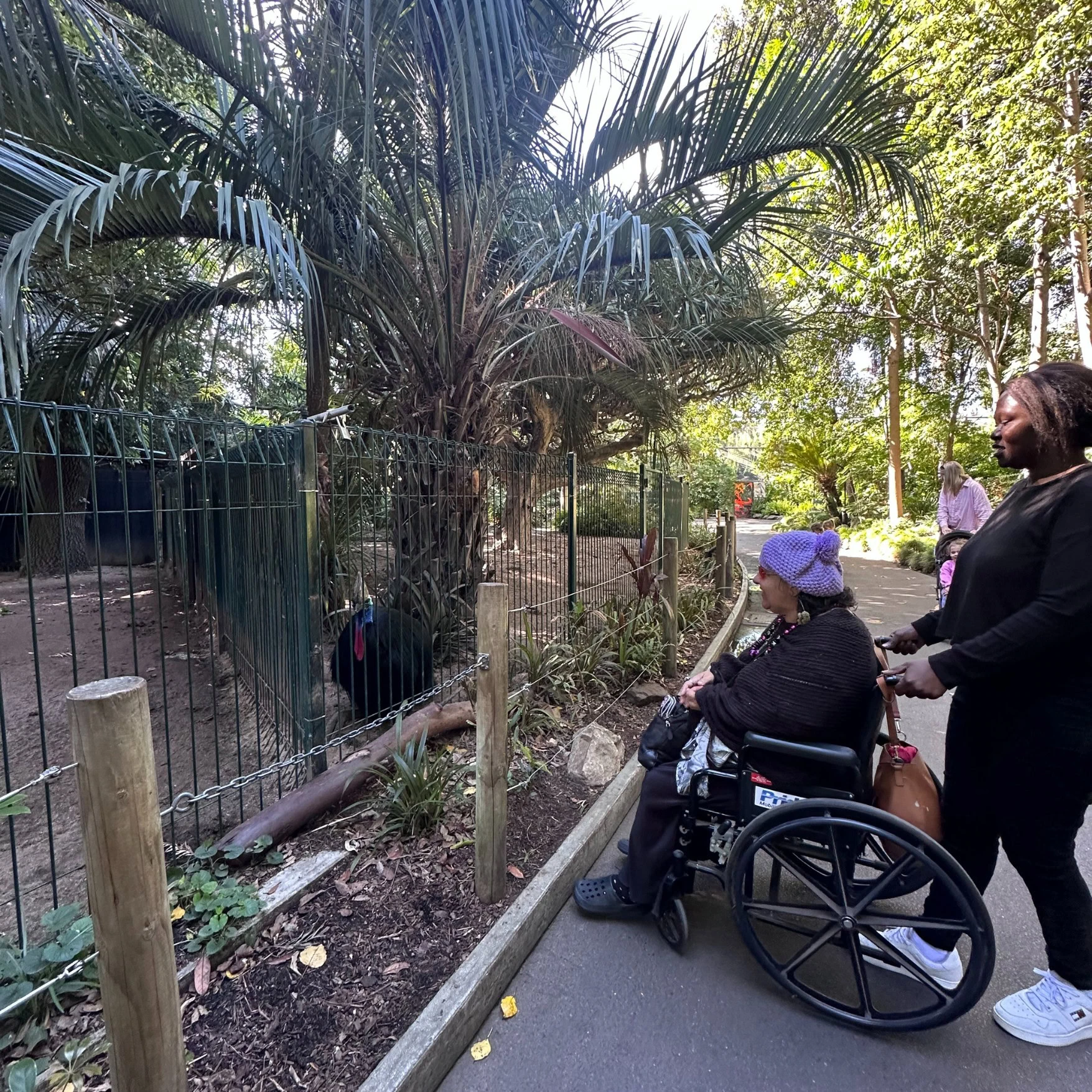 A woman pushes another woman in a wheelchair along a paved path beside an animal enclosure at a zoo or park, surrounded by trees and greenery.