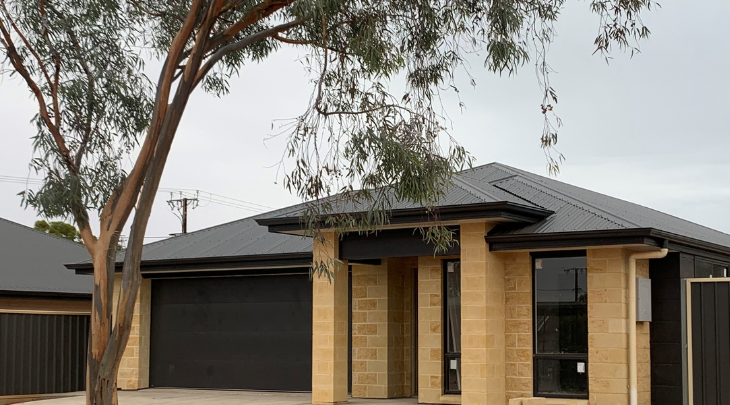 A house with a garage and a tree in front of it.