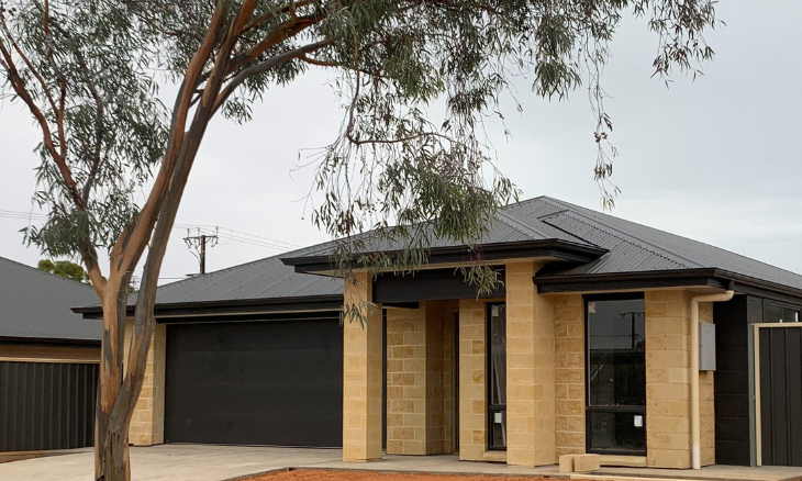 A house with a garage and a tree in front of it.