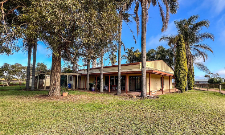 A house with palm trees in front of it.