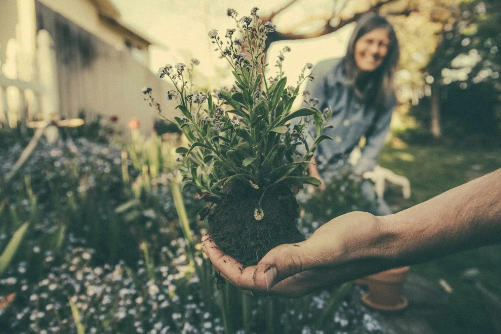 A hand holding a small plant with roots exposed, with a person in the background smiling in a garden setting.