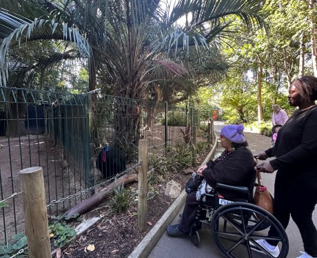 A woman pushes another woman in a wheelchair along a paved path beside an animal enclosure at a zoo or park, surrounded by trees and greenery.