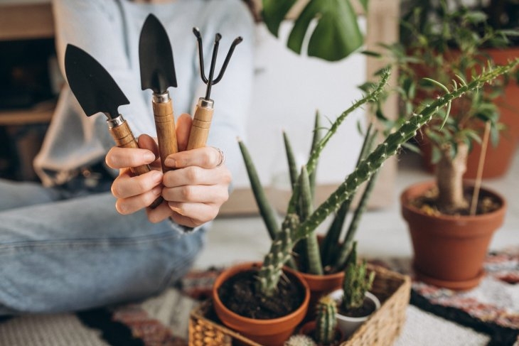 Person holding garden tools, sitting near potted plants including a tall cactus and leafy plant.