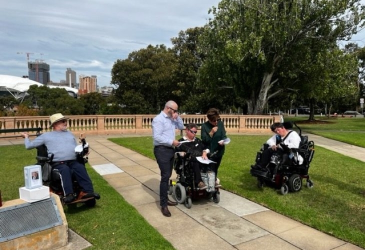 A group of people in wheelchairs in a park.