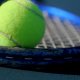 A close-up of a tennis ball resting on a blue tennis racket, with the focus on the ball and stringed surface of the racket.