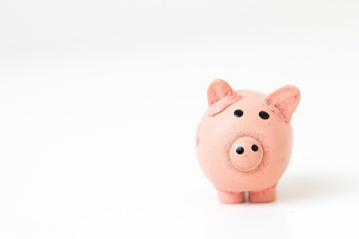 Small pink piggy bank centered on a plain white background.