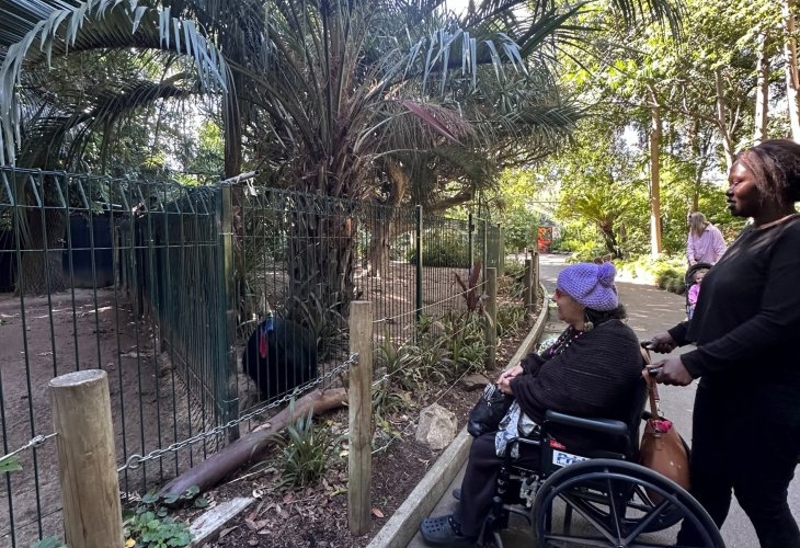 A woman pushes another woman in a wheelchair along a paved path beside an animal enclosure at a zoo or park, surrounded by trees and greenery.