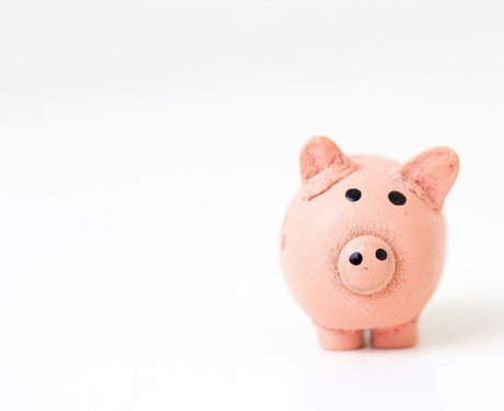 Small pink piggy bank centered on a plain white background.