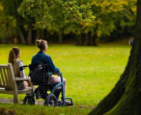 Two people sit on a park bench, one in a wheelchair, under a large tree on a grassy field.